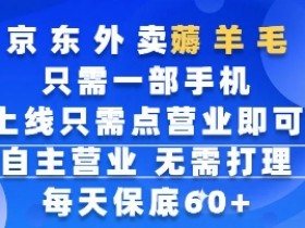 京东外卖薅羊毛，只需一部手机随时随地皆可操作，每天上线只需动动手指点营业即可，每天60+【揭秘】