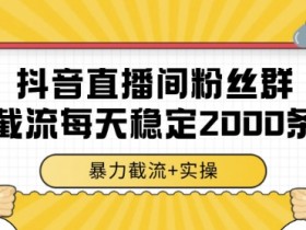 抖音直播间粉丝群暴力截流，一台电脑每天稳定2000条数据，暴力截流+实操 【揭秘】