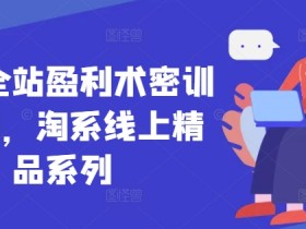 无界全站盈利术密训22.0，淘系线上精品系列