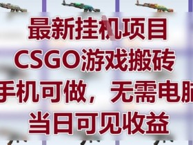 最新挂G项目，CSGO游戏搬砖，手机可做，无需电脑，当日见收益【揭秘】