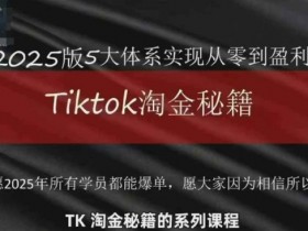 TikTok跨境2025淘金秘籍，​2025TikTok从0到盈利变现