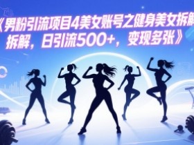 男粉引流项目4美女账号之健身美女拆解，日引流500+，变现多张