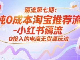 薅流第七期：纯0成本淘宝推荐流-小红书薅流最新版目，0投入的电商无货源玩法（附赠往期）