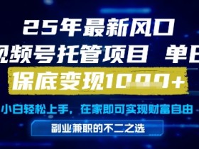 25年最新风口，视频号托管项目，单日保底变现1k+，手把手教学【揭秘】