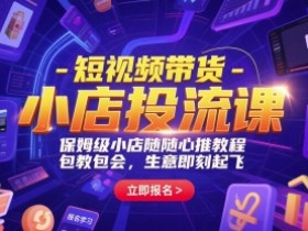 短视频带货-小店投流课，保姆级小店随心推教程，包教包会，生意即刻起飞