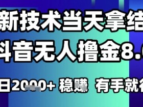 2025六月最新抖音无人撸金8.0.最新技术当天拿结果，单日1k+ 有手就行【揭秘】