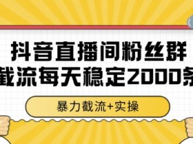 抖音直播间粉丝群截流，稳定采集数据全行业通用 2000条数据一天【揭秘】