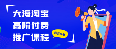 新媒体运营大海淘宝高阶付费推广课程