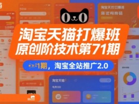 淘宝天猫打爆班原创高阶技术第71期，淘宝全站推广2.0