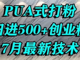 怎么打创业粉，PUA制造焦虑，单人日引500+精准流量