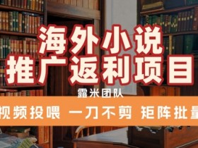 海外小说推广返利项目，视频投喂， 一刀不剪，矩阵批量