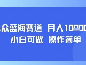 小众蓝海赛道，小白可做，操作简单，每天30分钟，月入1W+