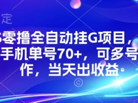 KS零撸全自动挂G项目，一部手机单号70+，可多号操作，当天出收益【揭秘】