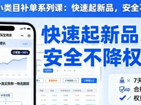 淘宝小类目补单系列课，快速起新品，安全不降权
