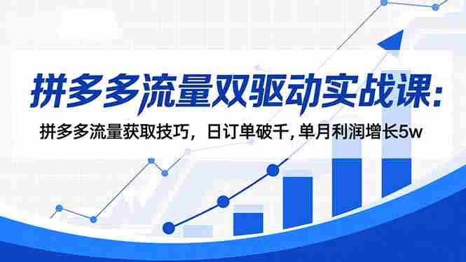 （16563期）拼多多流量双驱动实战课：拼多多流量获取技巧，日订单破千,单月利润增长5w