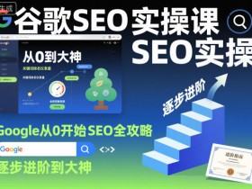 谷歌SEO实操课，Google从0开始SEO全攻略，逐步进阶到大神