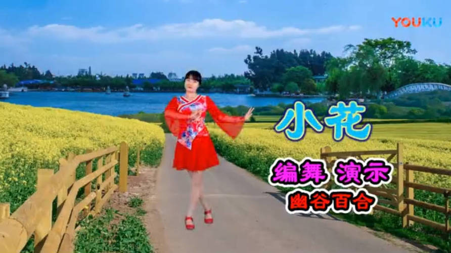 健身养生广场舞视频教学500首