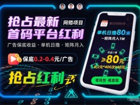 抢占最新首码平台红利，每个广告保底0.2-0.4，单机日撸80米，矩阵操作月入1W【揭秘】