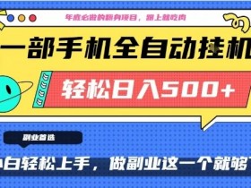 年底必做翻身项目，只需一部手机，每天操作十几分钟，轻松日入500+【揭秘】
