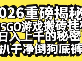 2026开年重磅解密，CSGO游戏搬砖挂G日入1k+的秘密，把倒狗的底裤扒干【揭秘】
