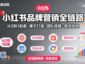 小红书品牌营销全链路，从0到1起盘、爆文打造、团队搭建到高效投放的全链路策略