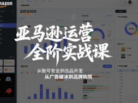亚马逊运营全阶实战课，从账号安全到选品开发，从广告破冰到品牌构筑（更新2026）
