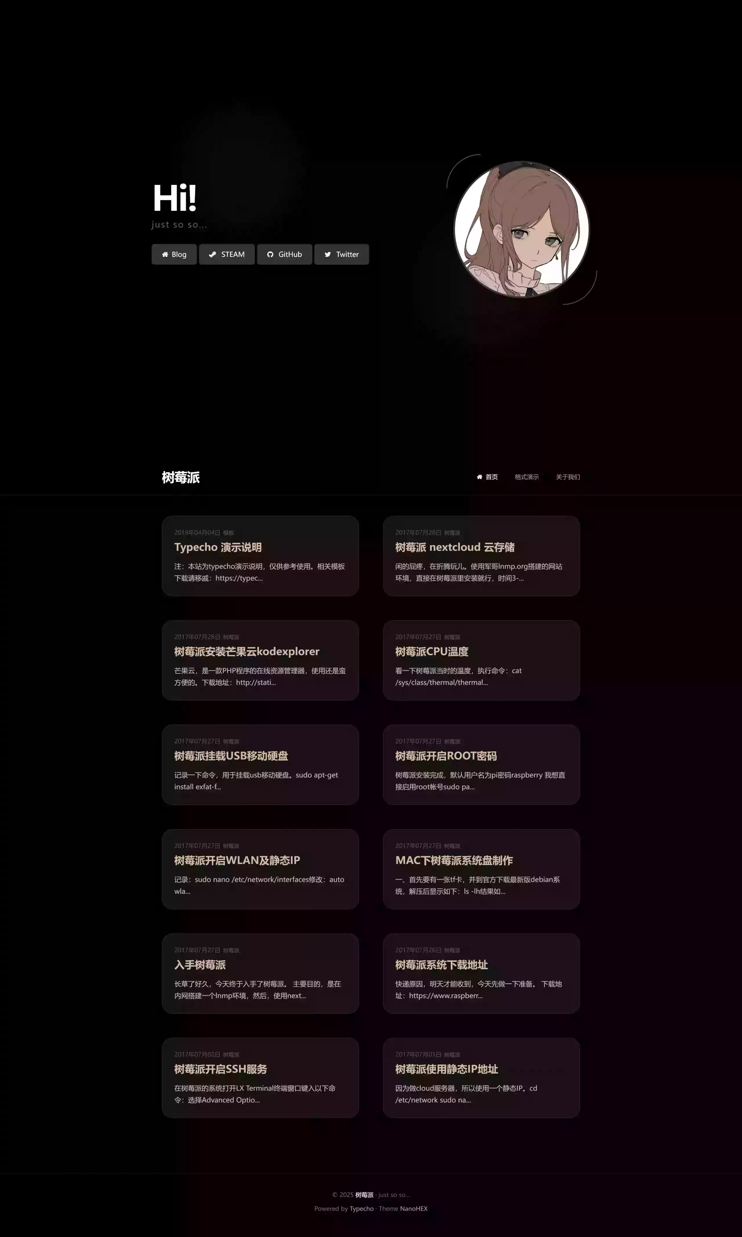 NanoHEX 简易简洁博客模板主题