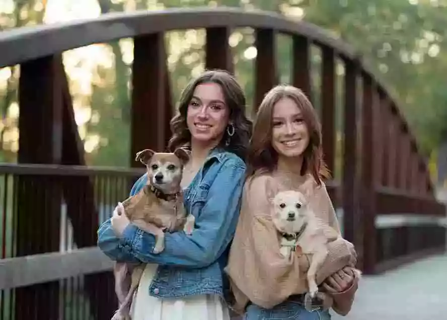 图片[1]-（17403期）大师级GTG出品-老友记系列AI自适应预设The Friends Preset Collection