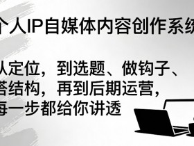 个人IP自媒体内容创作系统，从定位，到选题、做钩子、搭结构，再到后期运营，每一步都给你讲透