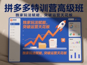 拼多多特训营高阶班，独家玩法赋能，突破运营天花板（更新26年2月）