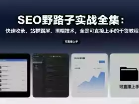 SEO野路子实战全集：快速收录、站群霸屏、黑帽技术，全是可直接上手的干货教程