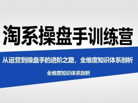 淘系操盘手训练营，​从运营到操盘手的进阶之路，全维度知识体系剖析（更新）