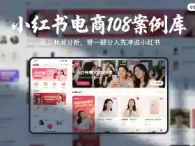 小红书电商108案例库，百W利润分析，带一部分人先冲进小红书【文档】
