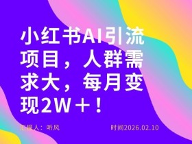 她通过这个AI项目每月做到2W＋的收入，最新小红书AI项目，人群需求大！