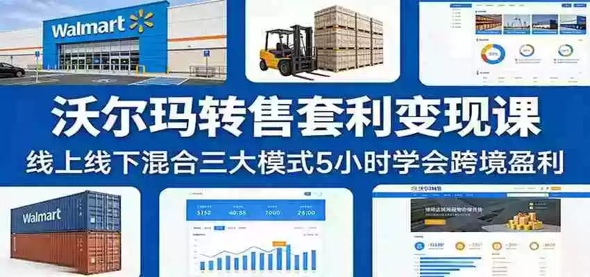图片[1]-沃尔玛转售套利变现课：线上线下混合三大模式5小时学会跨境盈利