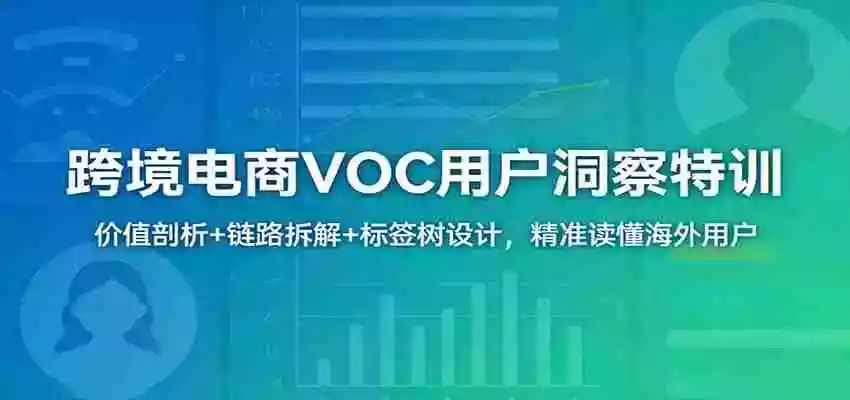 图片[1]-跨境电商VOC用户洞察特训：价值剖析+链路拆解+标签树设计，精准读懂海外用户