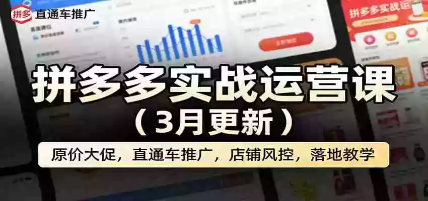 图片[1]-拼多多实战运营课（3月更新）：原价大促，直通车推广，店铺风控，落地教学