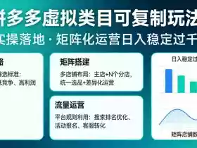 拼多多虚拟类目可复制玩法，实操落地，矩阵化日入稳定过千【揭秘】