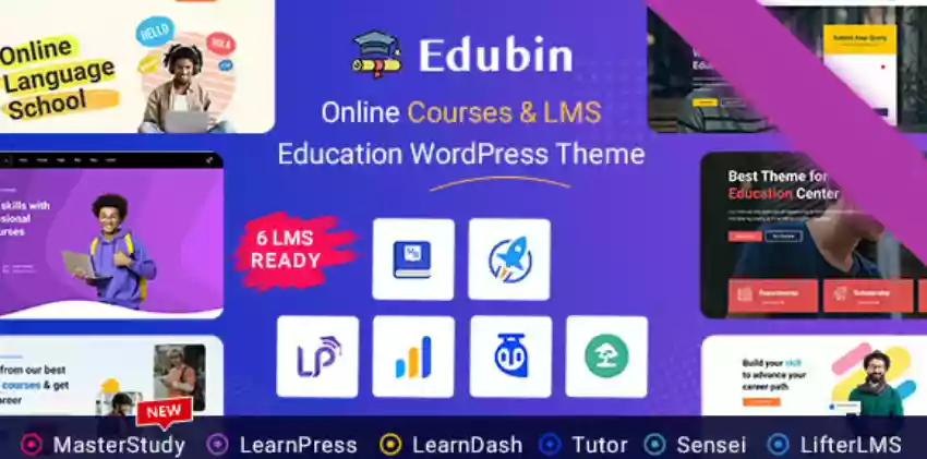 Edubin 教育 WordPress 主题