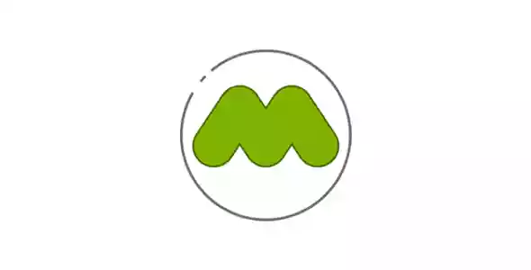 MainWP Piwik 扩展（现为 Matomo）