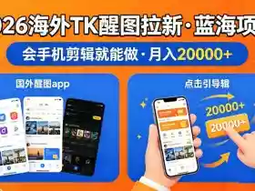 图出海拉新，全网火爆风口项目，只要会简单手机剪辑，轻松上手，当天见收益，日入四位数【揭秘】