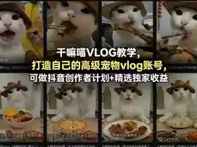 干嘛喵VLOG教学，打造自己的高级宠物vlog账号，可做抖音创作者计划+精选独家收益