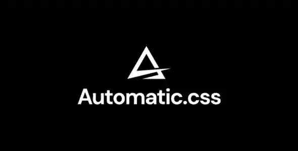 自动 CSS WordPress 插件
