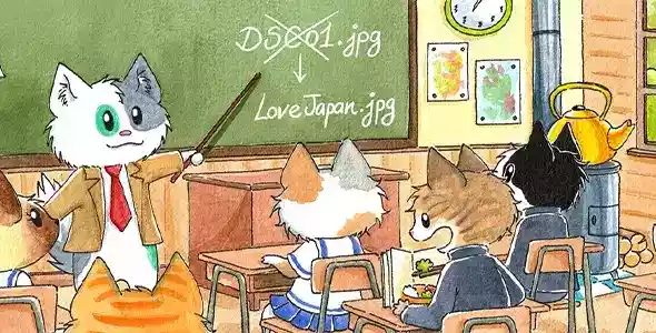 媒体文件重命名器专业版