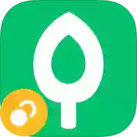 芝麻粒-AG0.0.7支付宝自动收能量，喂小鸡自动完成任