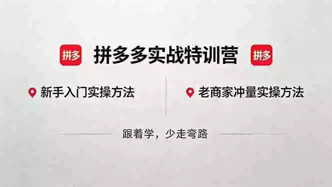 拼多多实战特训营(更新5月3)：不管是新手入门或老商家冲量，都有实操方法，跟着学，少走弯路