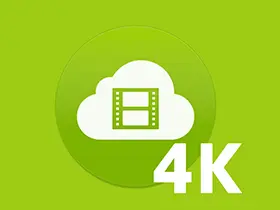 4K Video Downloader v4.26.0.5500中文便携版/安装版